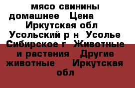 мясо свинины домашнее › Цена ­ 250 - Иркутская обл., Усольский р-н, Усолье-Сибирское г. Животные и растения » Другие животные   . Иркутская обл.